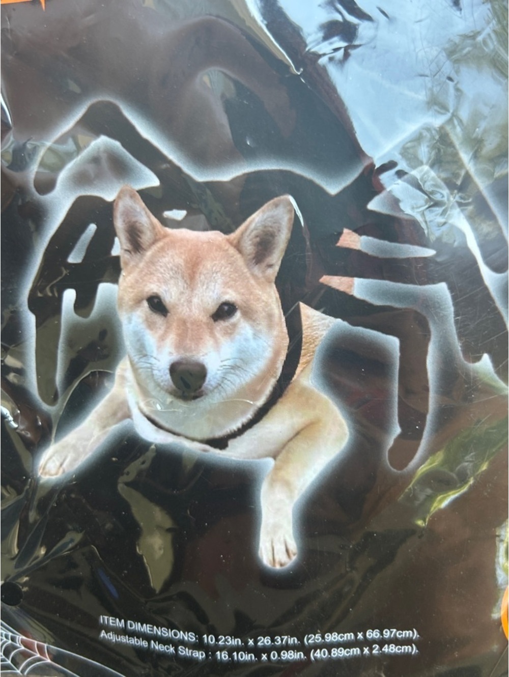 Spider Leg Pet Costume for Pets - Black - Halloween Costume | OSFM
